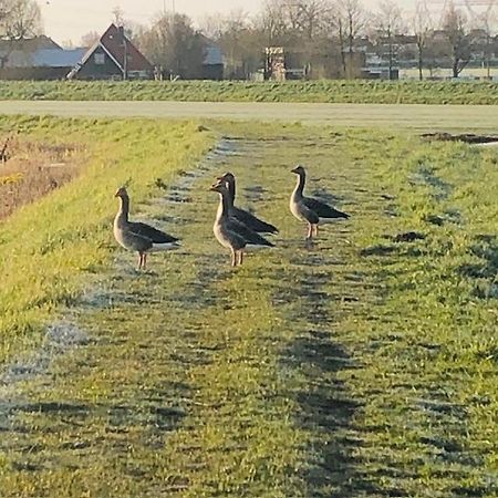 Ingeborgh Art Gastenverblijf Grootschermer Exteriér fotografie